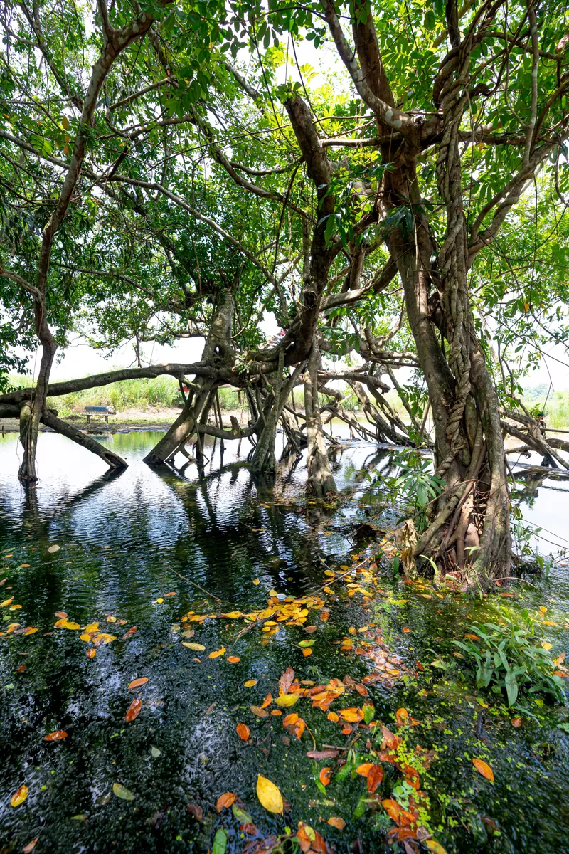 Kumana National Park, Sri Lanka