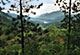 highland srilanka
