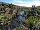 horton plains